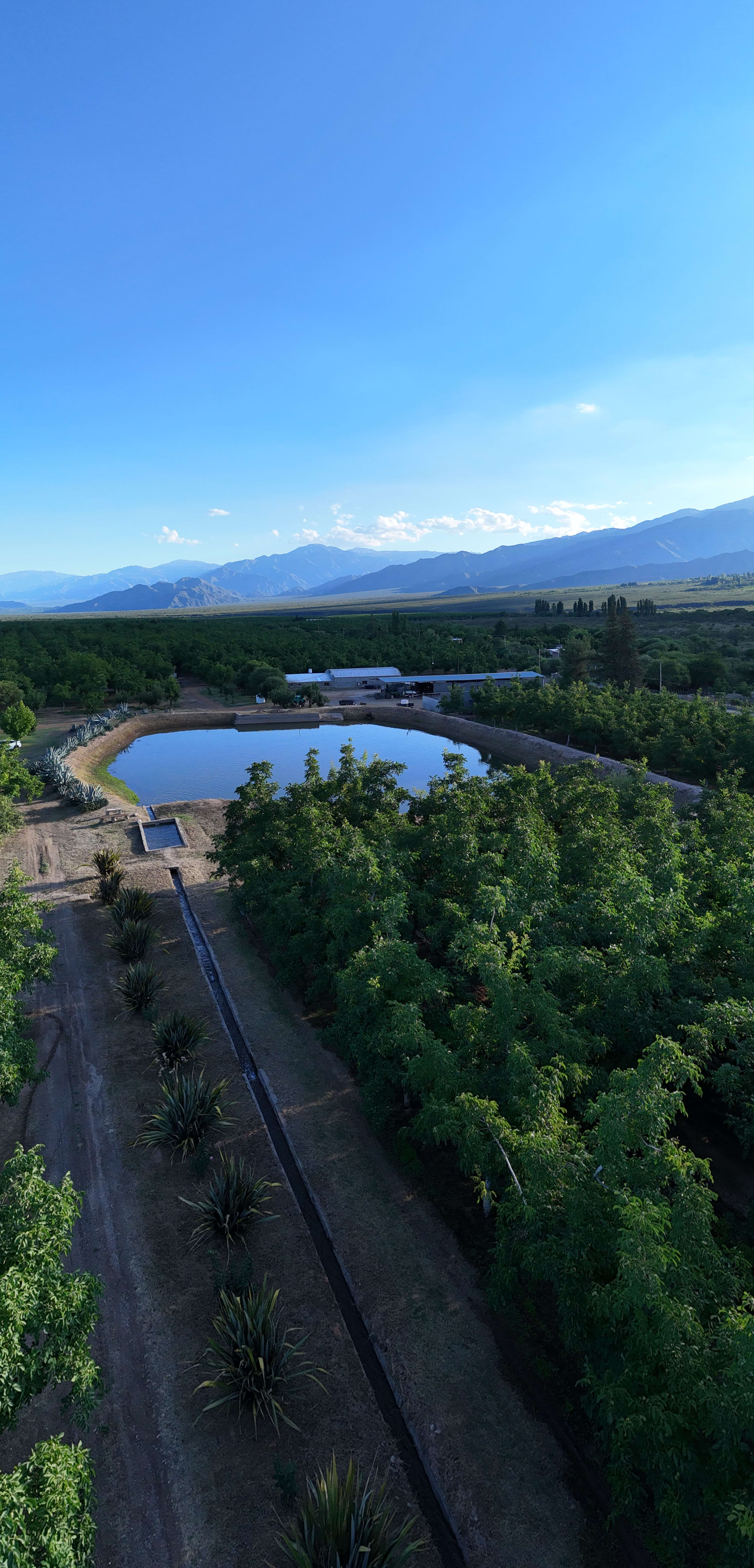 Recorrido sobre la finca desde drone, La Rioja